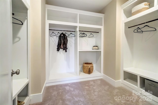 mudroom with light carpet