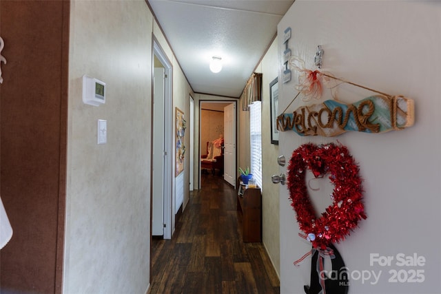 hallway featuring dark hardwood / wood-style flooring