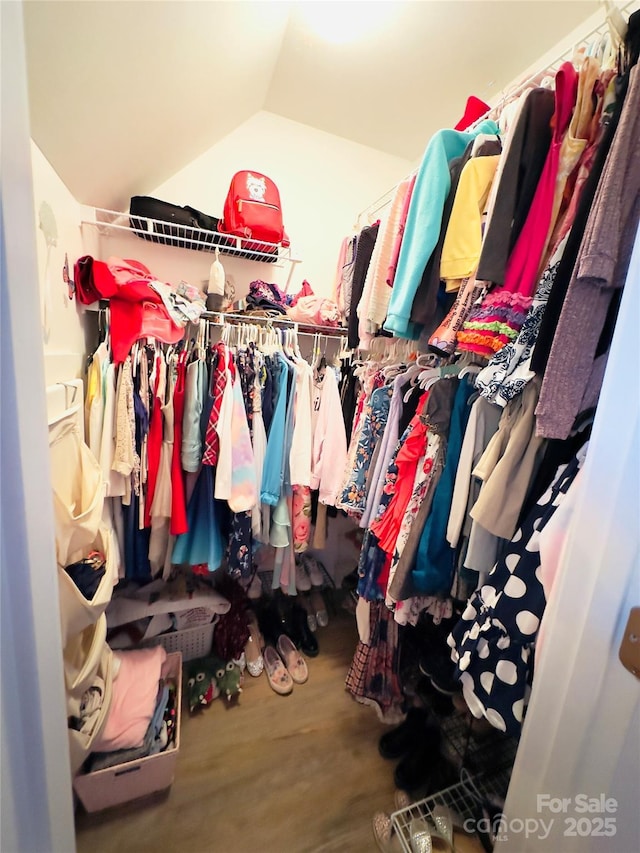 walk in closet with hardwood / wood-style flooring and lofted ceiling