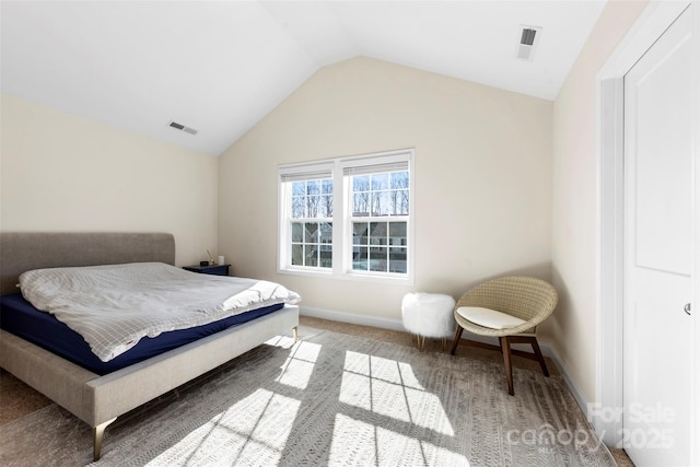 carpeted bedroom with lofted ceiling