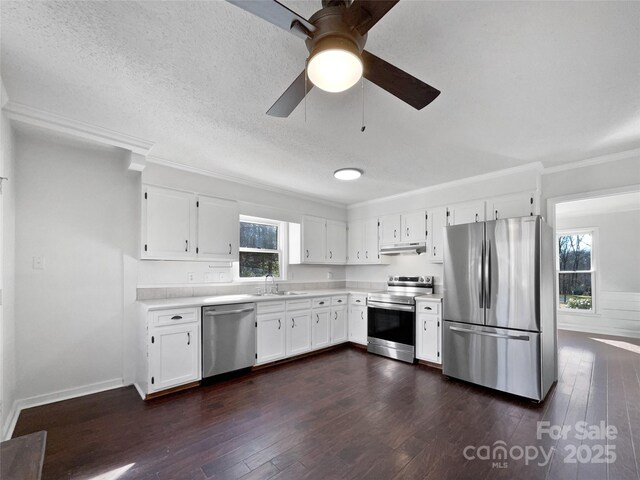 kitchen with sink, white cabinetry, dark hardwood / wood-style floors, a wealth of natural light, and stainless steel appliances