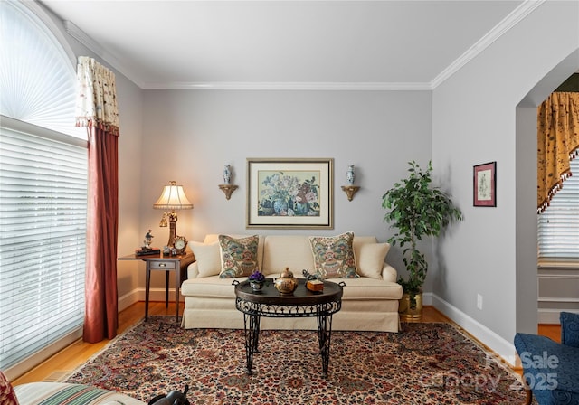 living room featuring hardwood / wood-style floors and ornamental molding