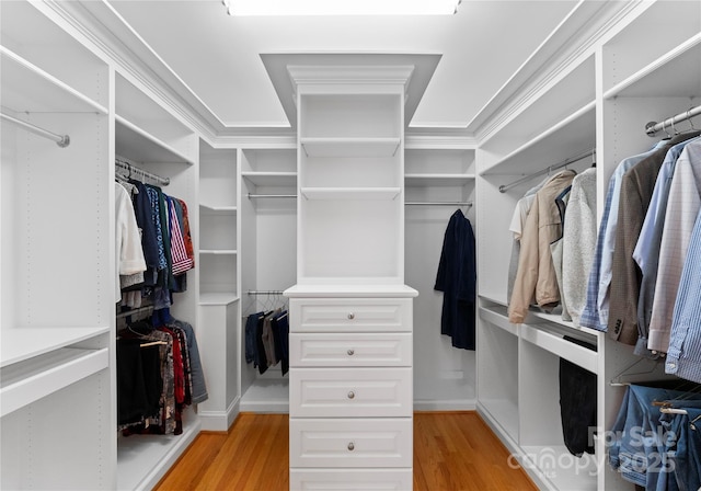 walk in closet with light hardwood / wood-style flooring