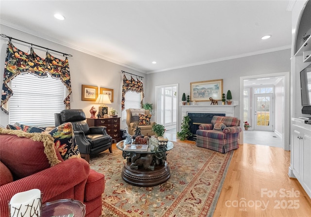 living room featuring ornamental molding, light wood-type flooring, and a fireplace