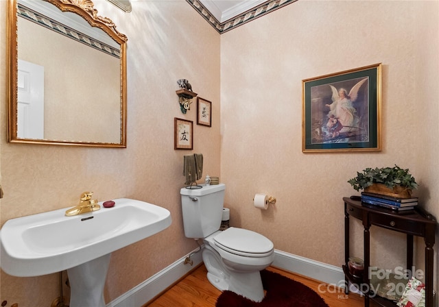 bathroom with wood-type flooring and toilet