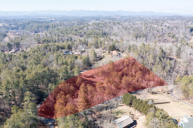 99999 Boone Trl, Weaverville NC, 28787 land for sale