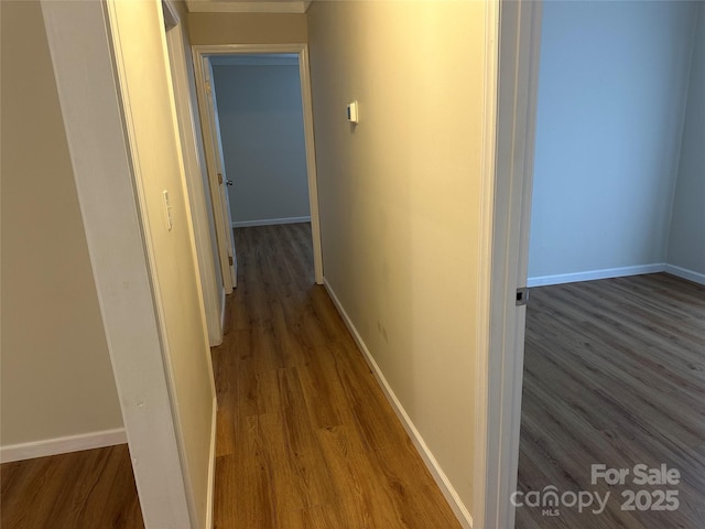 corridor featuring dark hardwood / wood-style flooring