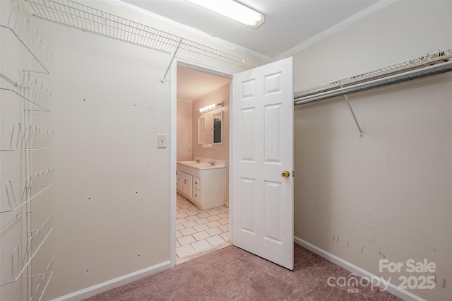 spacious closet featuring sink and light colored carpet