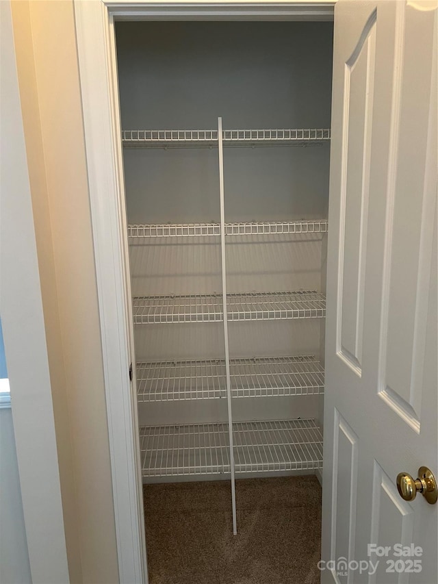 view of closet