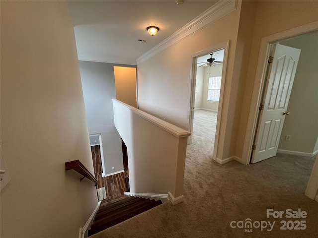 interior space featuring carpet floors, baseboards, and ornamental molding