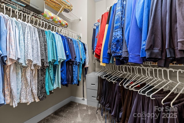 spacious closet with carpet