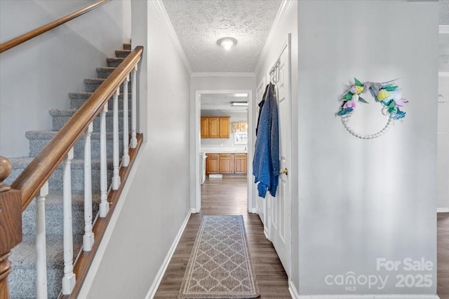 interior space featuring dark wood-type flooring, crown molding, and a textured ceiling