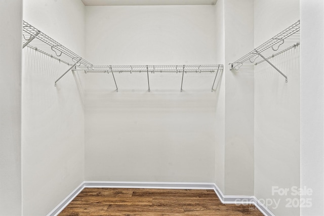 walk in closet with hardwood / wood-style flooring