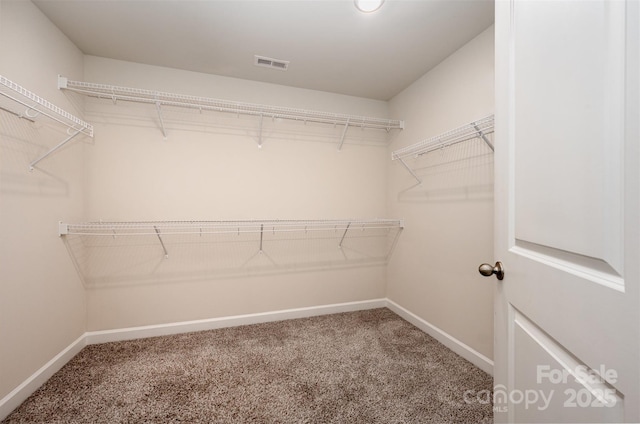 spacious closet with carpet floors