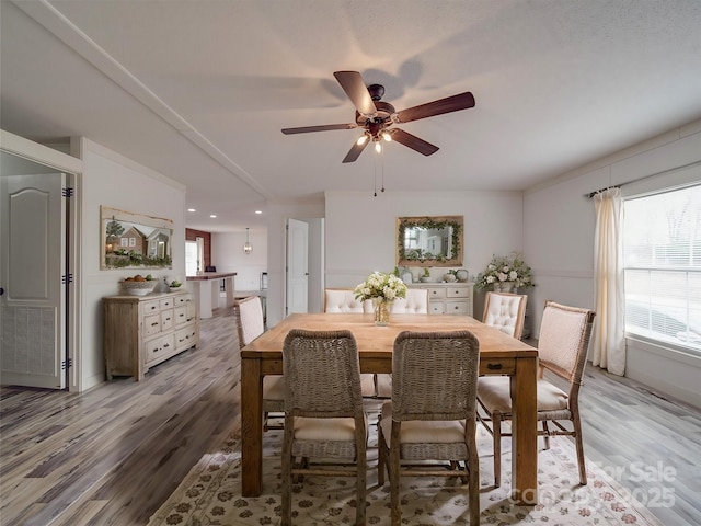 dining area with hardwood / wood-style flooring