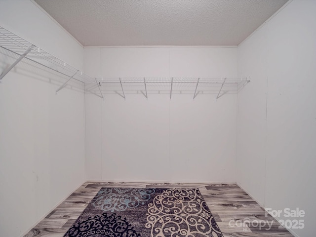 spacious closet with light hardwood / wood-style floors