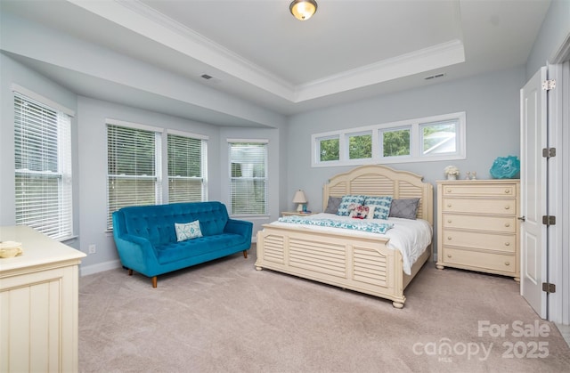 bedroom with multiple windows, carpet, and a tray ceiling