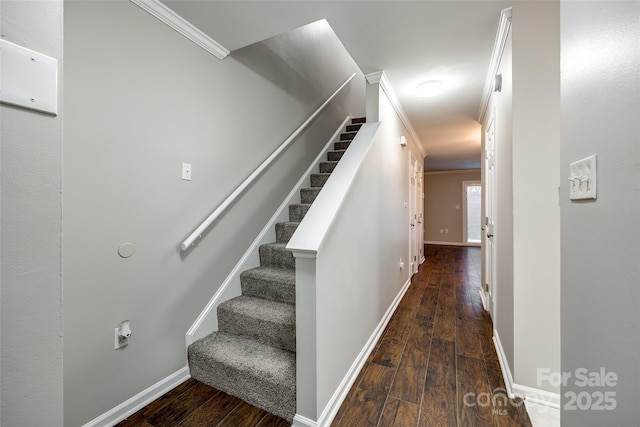 staircase featuring ornamental molding and hardwood / wood-style floors