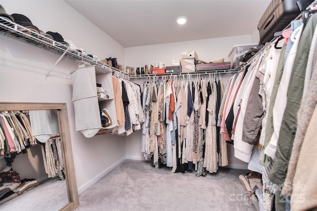 spacious closet featuring carpet floors