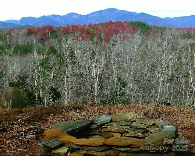 Listing photo 2 for LOT17 S Cross Creek Trl, Mill Spring NC 28756