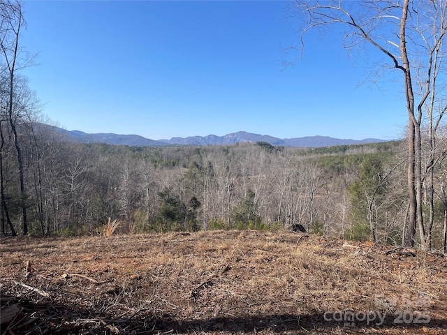 Listing photo 3 for LOT17 S Cross Creek Trl, Mill Spring NC 28756