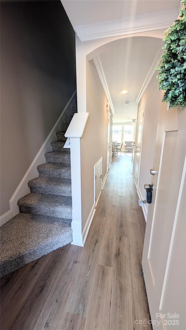 hall with crown molding and hardwood / wood-style floors