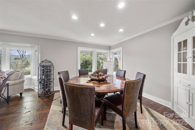 dining area featuring dark wood-style floors, baseboards, and a wealth of natural light