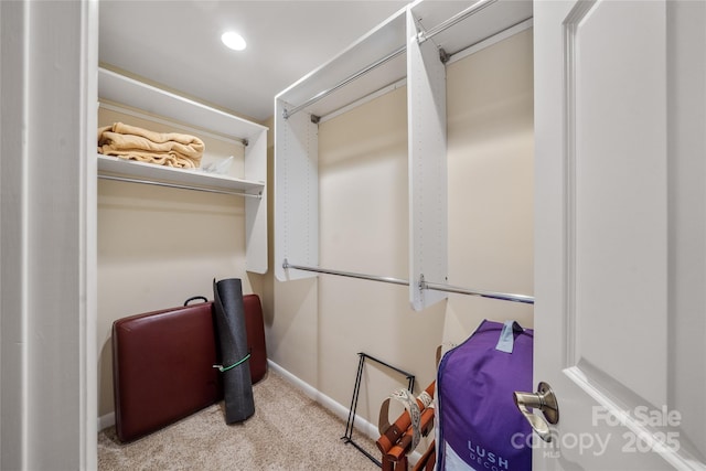 spacious closet with light carpet