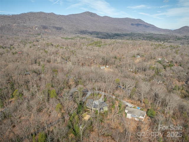 property view of mountains