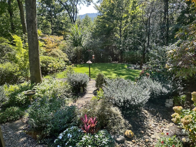 100 Stone Circle Dr, Tryon, NC 28782 - view of green lawn