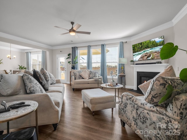 living room featuring ornamental molding, plenty of natural light, dark wood-type flooring, and ceiling fan with notable chandelier