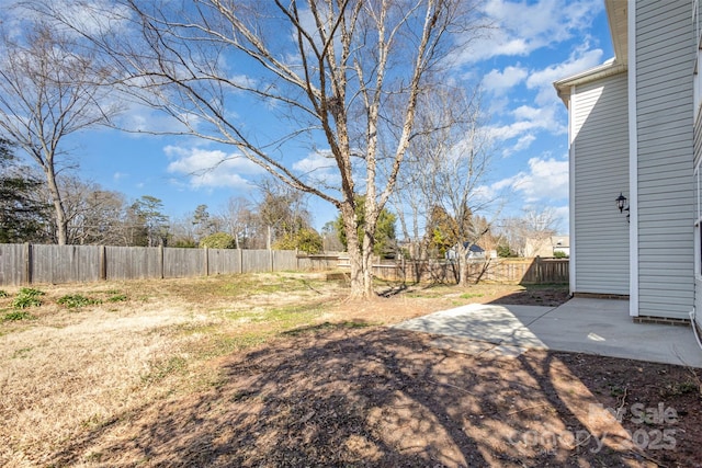 view of yard with a patio area