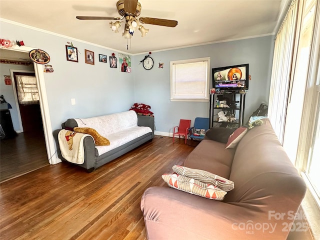 living room featuring ceiling fan, ornamental molding, and wood-type flooring