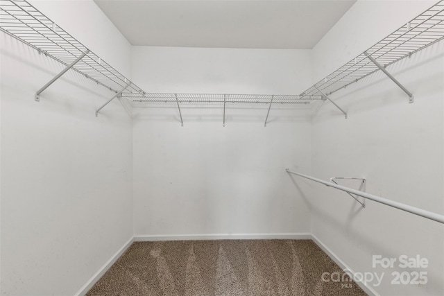 spacious closet with carpet flooring