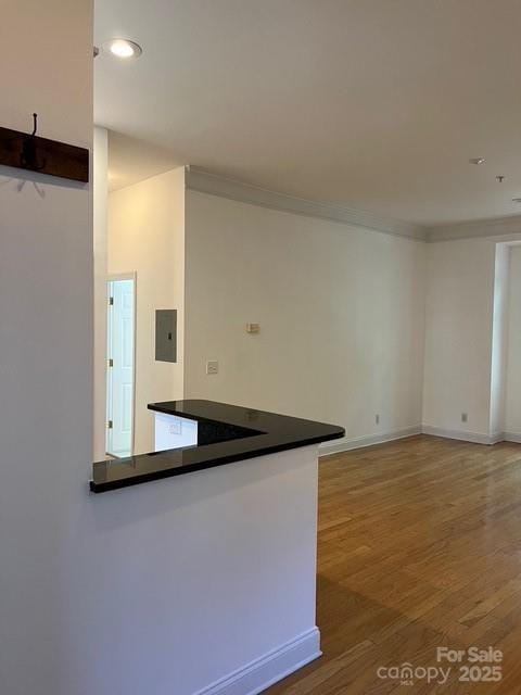 kitchen featuring crown molding, electric panel, and hardwood / wood-style floors