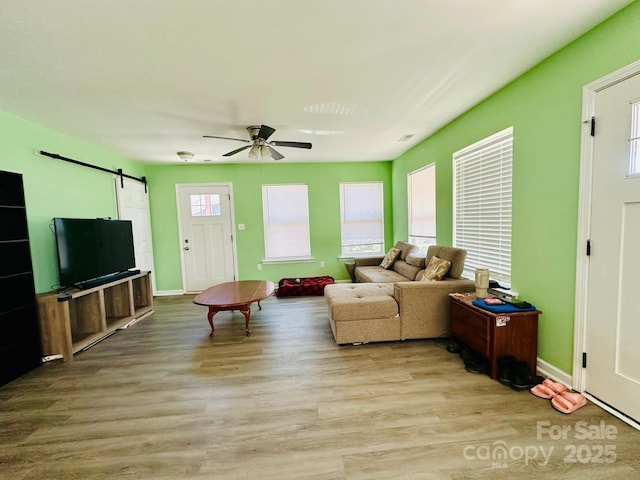 living room featuring ceiling fan, a barn door, and light hardwood / wood-style flooring