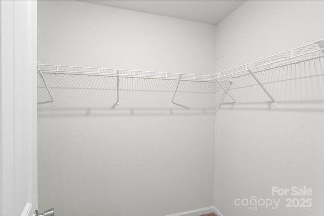 view of spacious closet