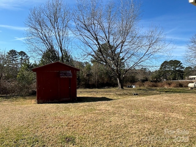 view of yard with a storage shed