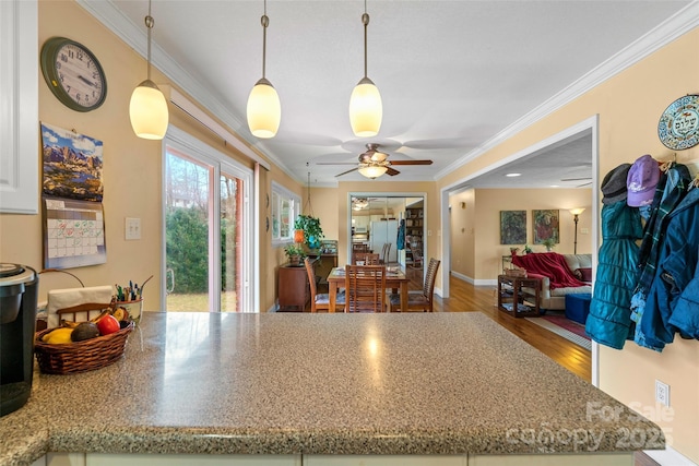 kitchen with decorative light fixtures, ornamental molding, ceiling fan, and hardwood / wood-style flooring