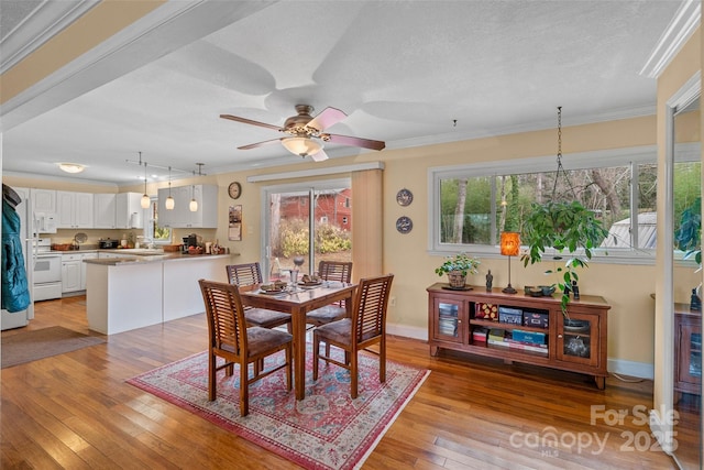 dining room featuring crown molding, ceiling fan, a textured ceiling, and light hardwood / wood-style floors