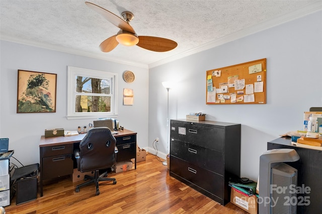 office featuring crown molding, ceiling fan, a textured ceiling, and light wood-type flooring