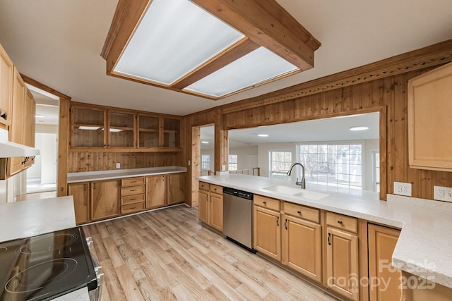 kitchen with range with electric cooktop, stainless steel dishwasher, wooden walls, and sink