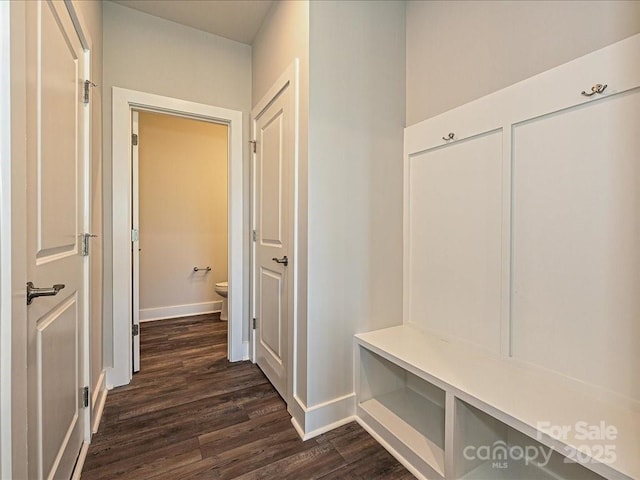 mudroom featuring dark wood-type flooring