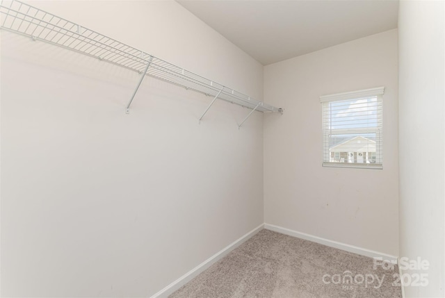 spacious closet featuring light colored carpet