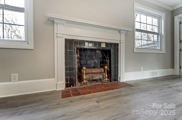 details featuring hardwood / wood-style flooring, a fireplace, and crown molding