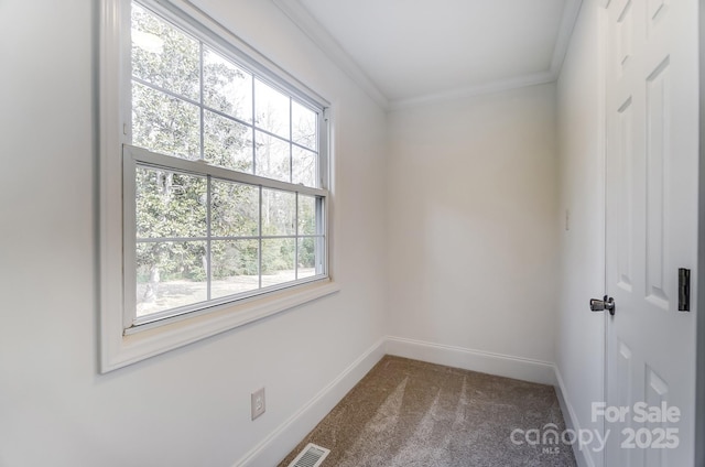 spare room featuring crown molding and carpet