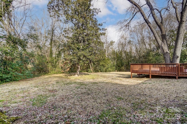 view of yard featuring a deck