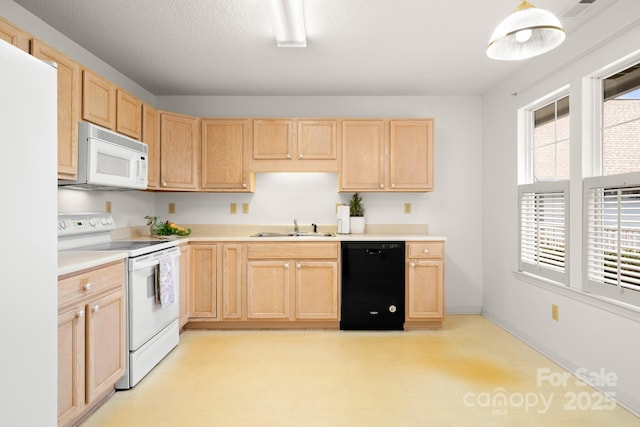 kitchen featuring a healthy amount of sunlight, white appliances, a sink, and light brown cabinetry