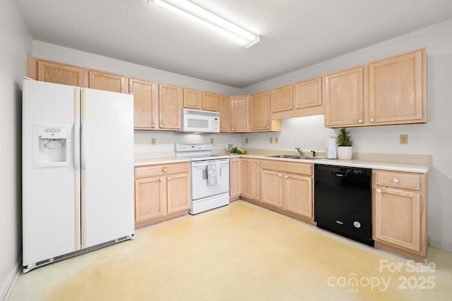 kitchen featuring white appliances, light countertops, light brown cabinetry, light floors, and a sink