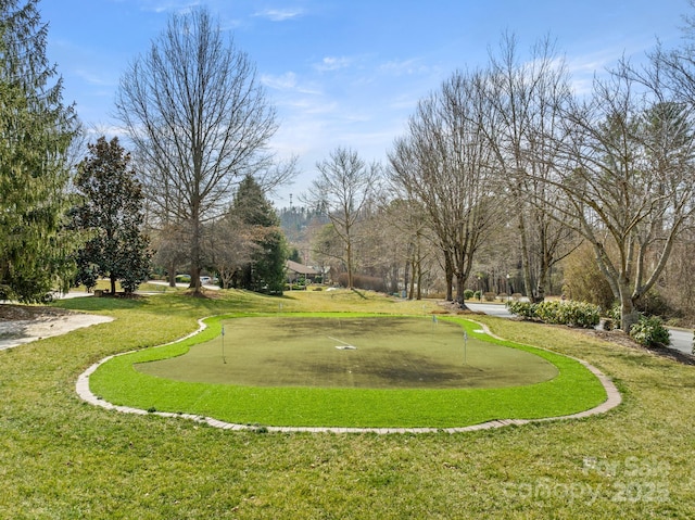 view of home's community with a yard